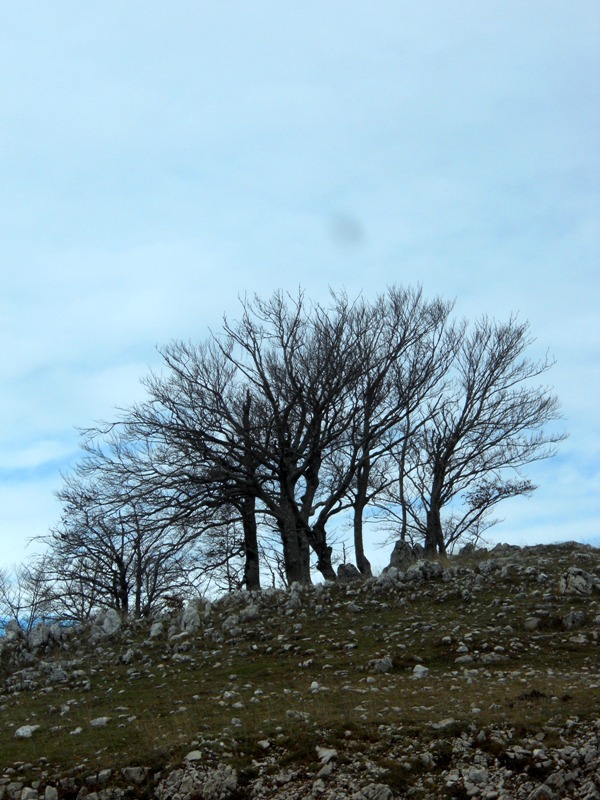 Viaggio Sul Monte Terminillo